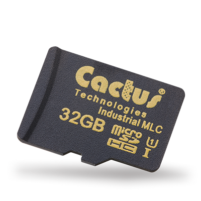 efeu dachbegrünung 40er Bundle main image 1