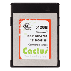 270P Series CFexpress
