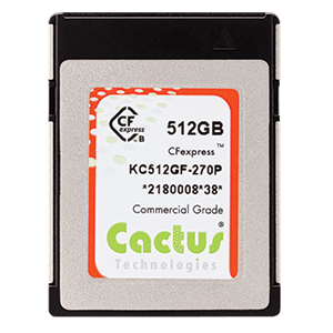 270P Series CFexpress