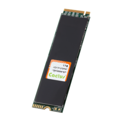 270P M.2 PCIe High Performance